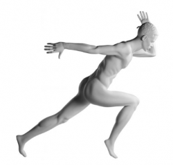 Athletix sportovní figurína, posice AHM-01, bílá